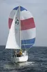 En Albin Viggen seglar för spinnaker.