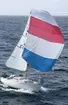 En Albin Viggen seglar för spinnaker.