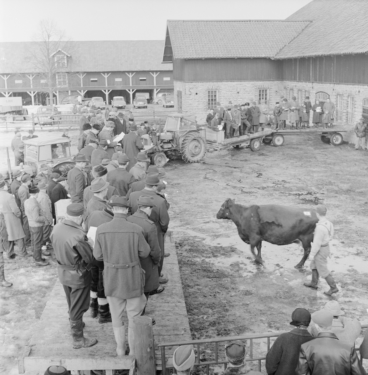 Gårdsmiljö, Uppland