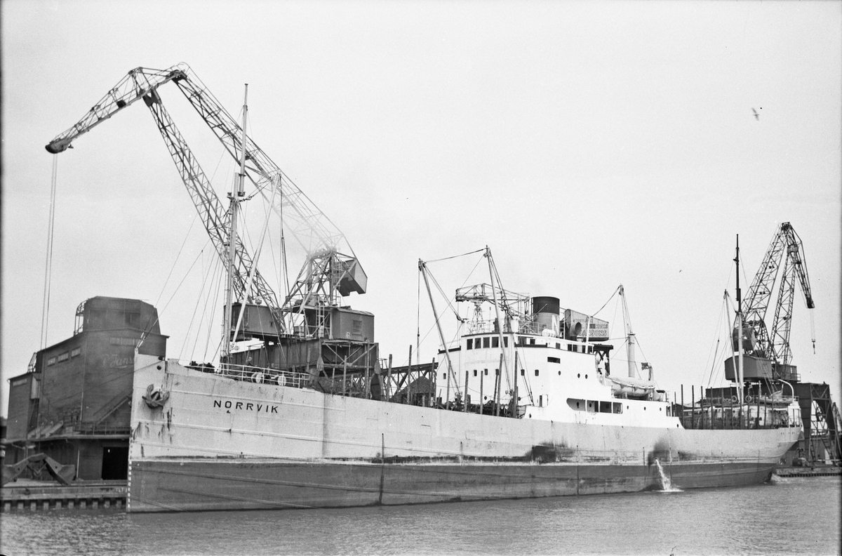 Ägare:/1958-62/: Rederi AB Novator. Hemort: Norrköping.