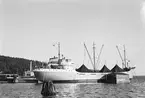 Ägare:/1955-73/: E. Wagenborgs Scheepwart- & Expeditiebedrijf N.V. Hemort: Delfzijl.