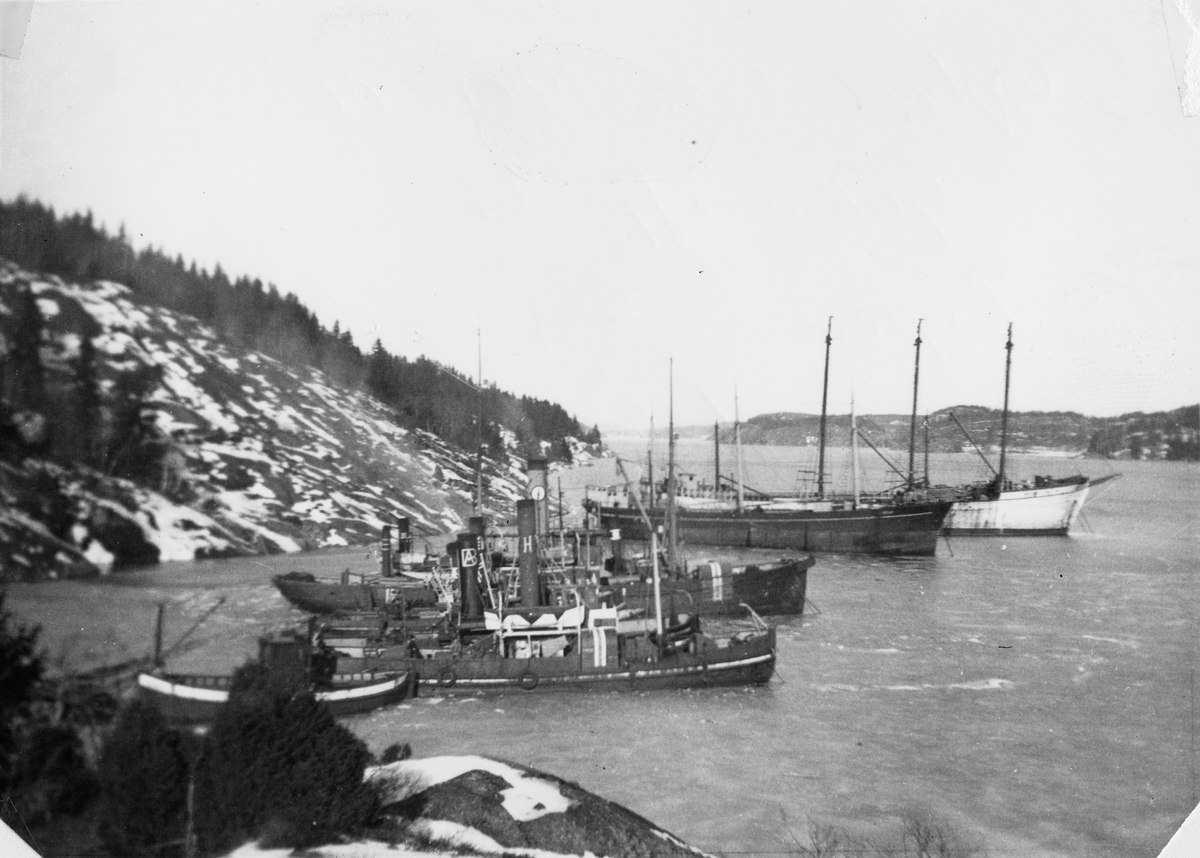 Fo147953