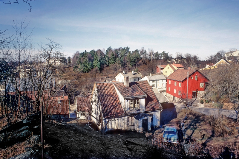 Forstadsbebyggelse. Hus og gate.  Skog i bakgrunnen.