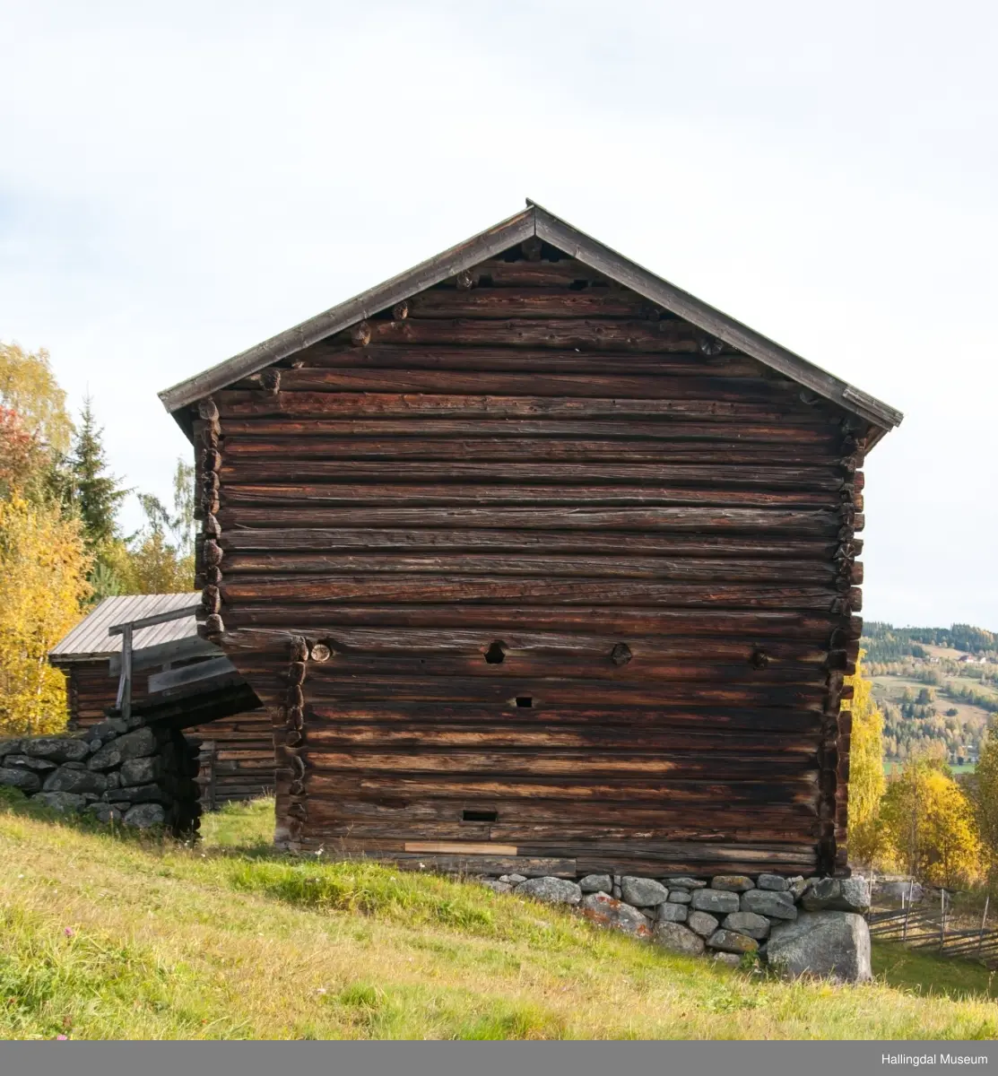 Dette er en stall med trev.  Den er sammensatt av flere tømmerhus som trolig er bygd en gang mellom 1825 og 1850 her på Skaga.  Annen etasje er utkraget og den har bordtak.