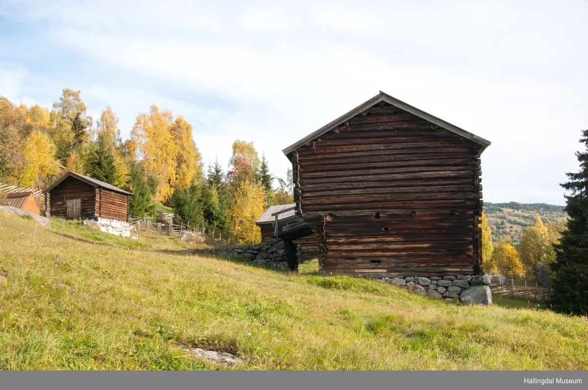Dette er en stall med trev.  Den er sammensatt av flere tømmerhus som trolig er bygd en gang mellom 1825 og 1850 her på Skaga.  Annen etasje er utkraget og den har bordtak.