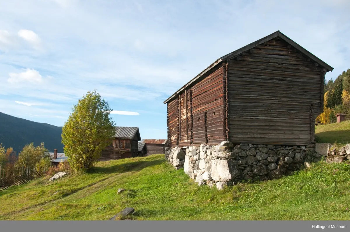 Dette er en stall med trev.  Den er sammensatt av flere tømmerhus som trolig er bygd en gang mellom 1825 og 1850 her på Skaga.  Annen etasje er utkraget og den har bordtak.
