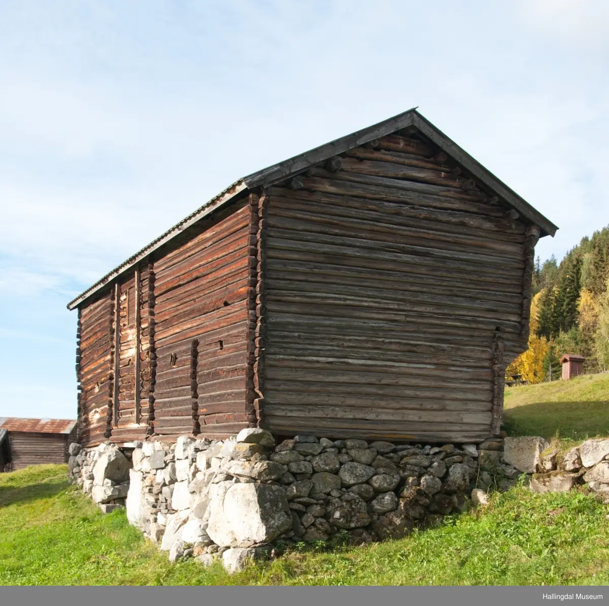 Dette er en stall med trev.  Den er sammensatt av flere tømmerhus som trolig er bygd en gang mellom 1825 og 1850 her på Skaga.  Annen etasje er utkraget og den har bordtak.