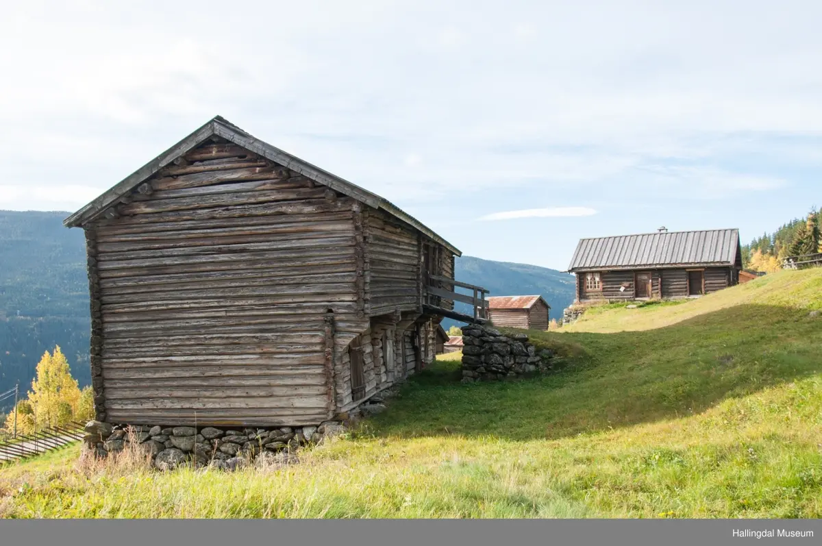 Dette er en stall med trev.  Den er sammensatt av flere tømmerhus som trolig er bygd en gang mellom 1825 og 1850 her på Skaga.  Annen etasje er utkraget og den har bordtak.