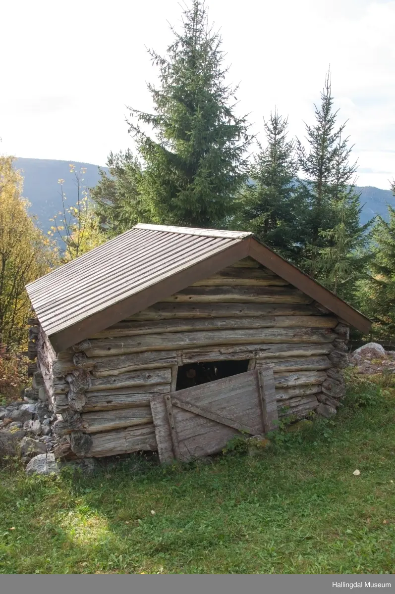 Forløe fra Sjauset.  Tidligere slo folk graset på stølsvoller og i utmark.  Derfor var det vanlig å ha ei forlu på stølen og ei eller flere i utmarka.  Foret ble kjørt hjem på vinterføre med hest og slede.