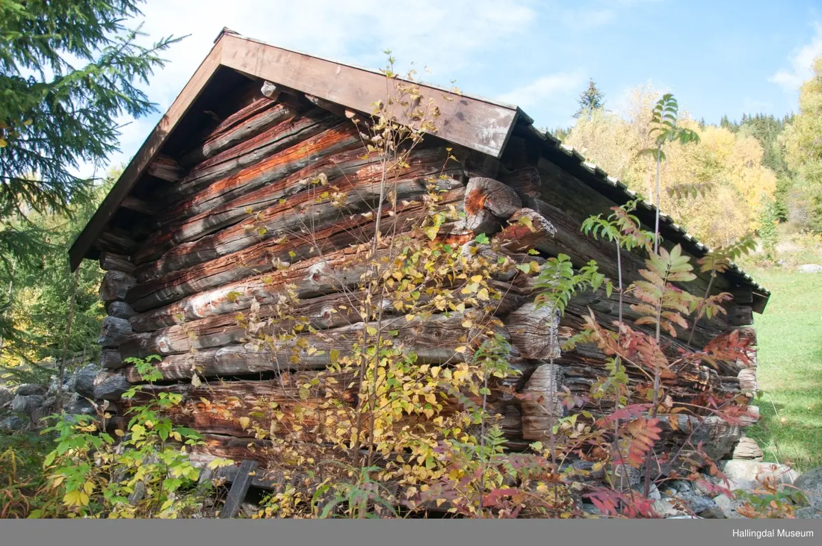Forløe fra Sjauset.  Tidligere slo folk graset på stølsvoller og i utmark.  Derfor var det vanlig å ha ei forlu på stølen og ei eller flere i utmarka.  Foret ble kjørt hjem på vinterføre med hest og slede.