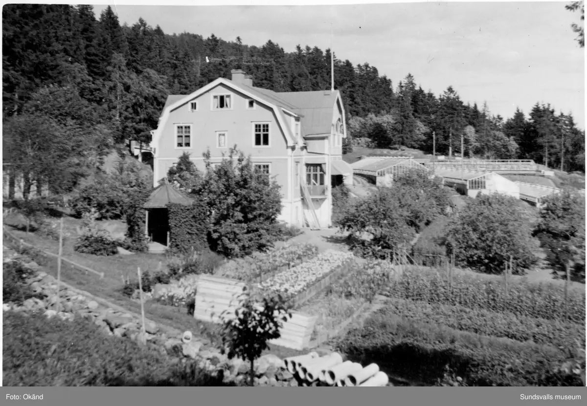 Bostadshuset (byggt 1914 och rivet 1986) vid Klintens handelsträdgård vid Västhagen, Västermalm. Redan 1898 köpte trädgårdsmästare Sven Edvard Andersson Vreten 10 med avsikt att utöka sin produktion av blommor och andra växter till butiken i Sundsvall. Företaget växte och 1924 bildas aktiebolaget Klintens handelsträdgård. På bild 1 (av 4) ses Sven Edvard Andersson stå längst till höger och hans hustru Anna Lovisa i ljus klänning till vänster om honom. Övriga personer är troligen släktingar. Sven Edvard Andersson hade innan anställning som trädgårdsmästare hos disponenten J A Enhöring i Kubikenborg.