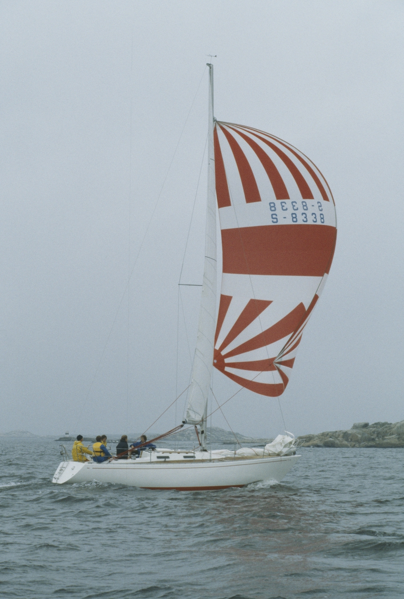 En Albin Nova seglar för spinnaker.