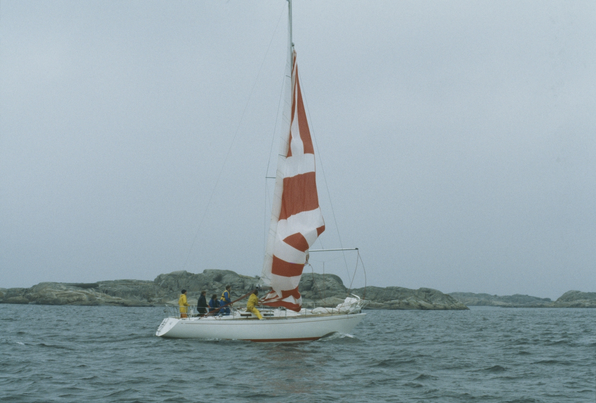 Spinnakern halas på en Albin Nova.