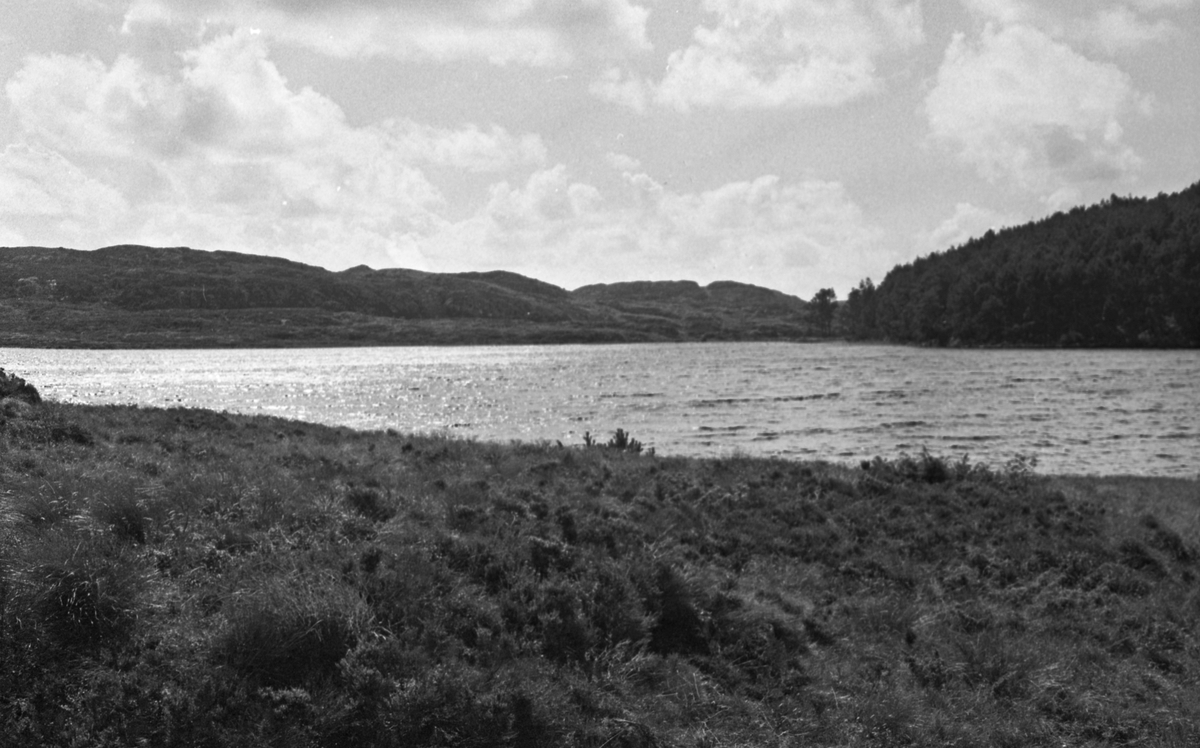 Kongeveien på Karmøy.