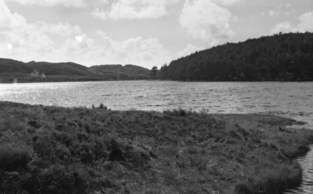 Kongeveien på Karmøy.