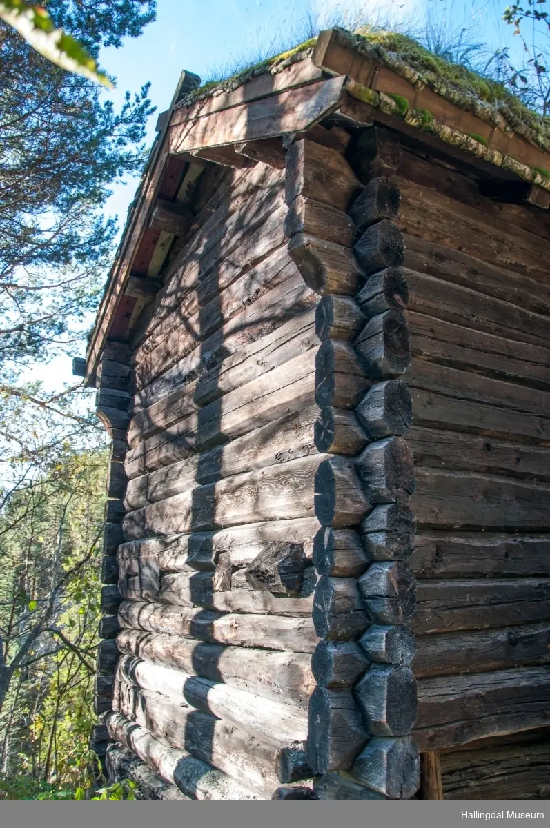 Kvernhus stod i Bergsån og hørte til Nestegard i Hovet