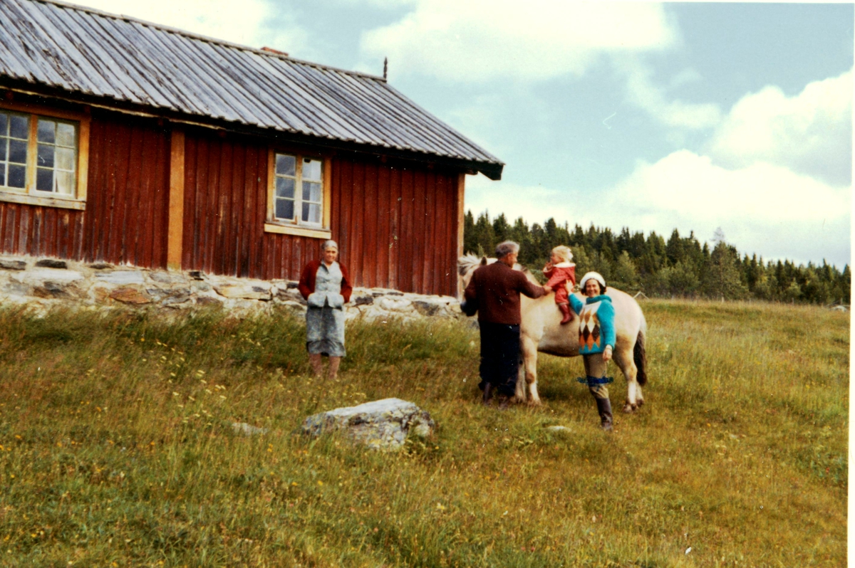 Turistar  på Skagavollen.