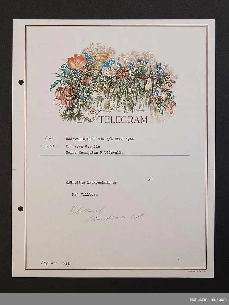 Födelsedagstelegram på papper i flerfärgstryck med maskinskriven text till adressaten. Jubilaren är Vera Gergils, 50 år 1966.