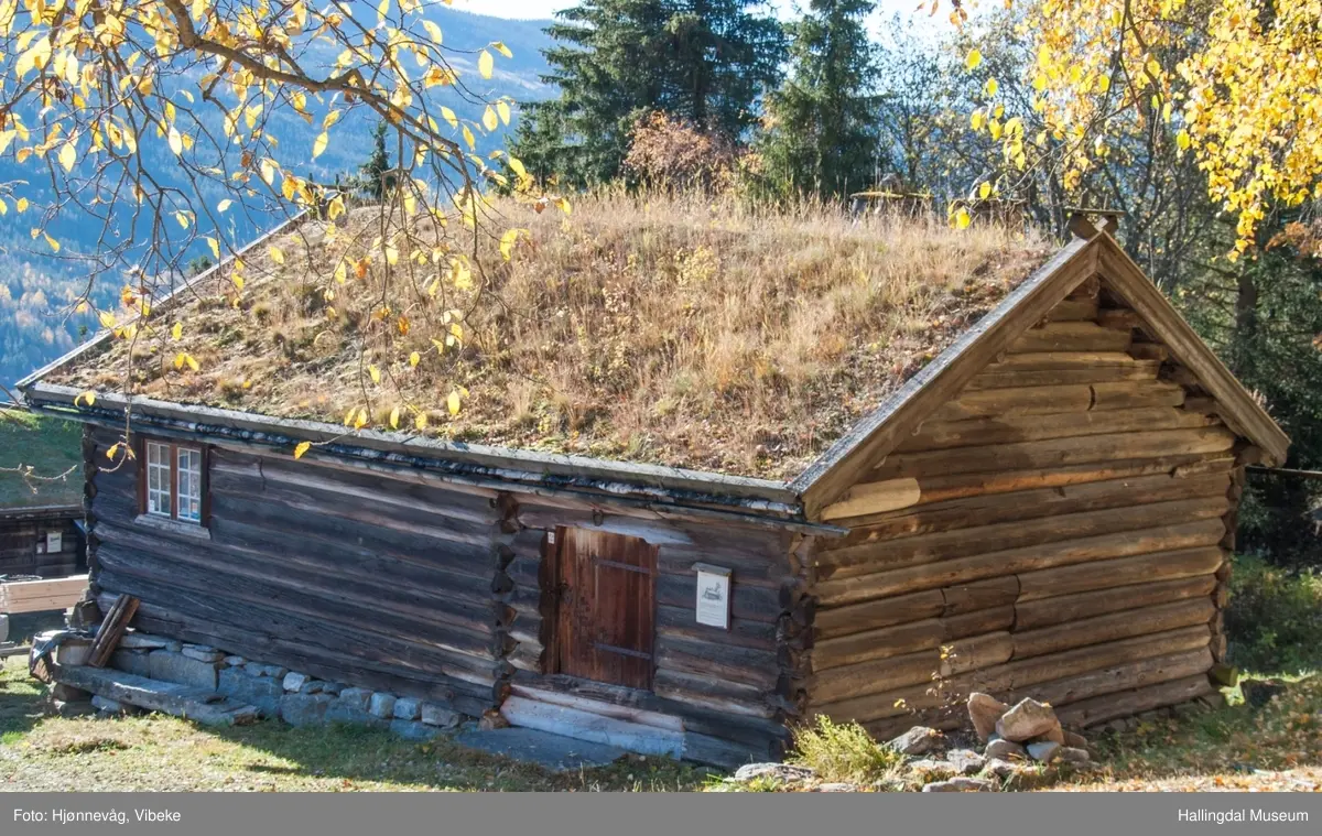 Stasstugu, Tingstugu på Ål Bygdamuseum, Leksvol