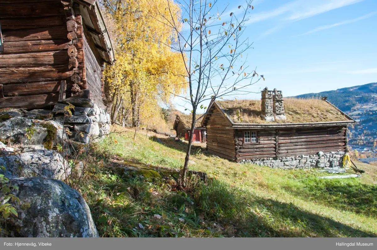 Stasstugu, Tingstugu på Ål Bygdamuseum, Leksvol