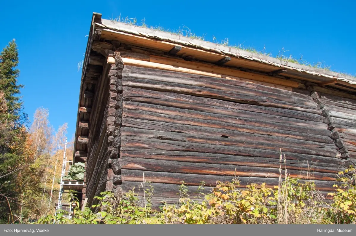 Låve på Ål Bygdamuseum, Leksvol
