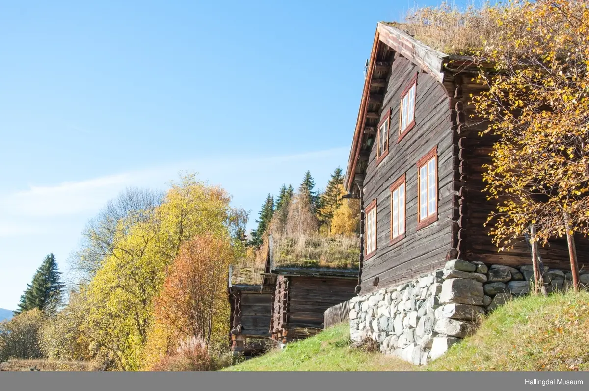 Bakkestugu fra Bakken Strand på Ål Bygdamuseum, Leksvol