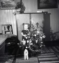 Kjell Olav Mathisen stående bak pyntet juletre i stuen på Øv