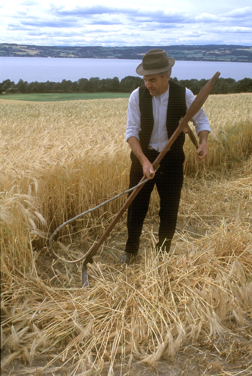 Ringsaker, Nes, Skinnstad gård, Stillsfoto til filmen som ble produsert av fotoavdelingen på Hedmarksmuseet sammen med "Sund Sag og Mølle" på Nes ved Ludvik Hemstad i 2002: "Fra skyru til skurtresker", Ludvik Hemstad slår med ljå