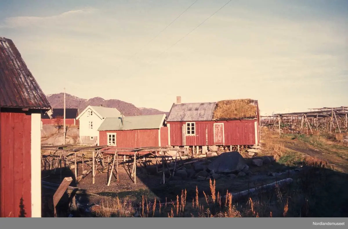 Vestvågøy, Ballstad, Ballstadøy, bygninger, rød, tre, gresstak, tørke av fisk
