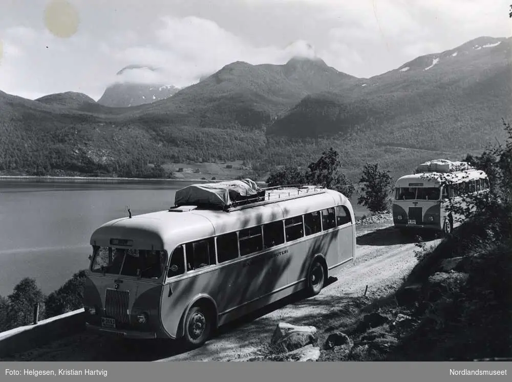 Ulsvik i Tysfjord. To like busser kjører etter hverandre langs en vei. Vann i bakgrunnen. Fjellsider med trær.