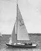 Folkbåten F-S130 PAX AUREA under Sandhamnsregattan 1950.