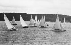 Från Höstseglingarna i Saltsjöbaden 1946, enmansseglingen 14