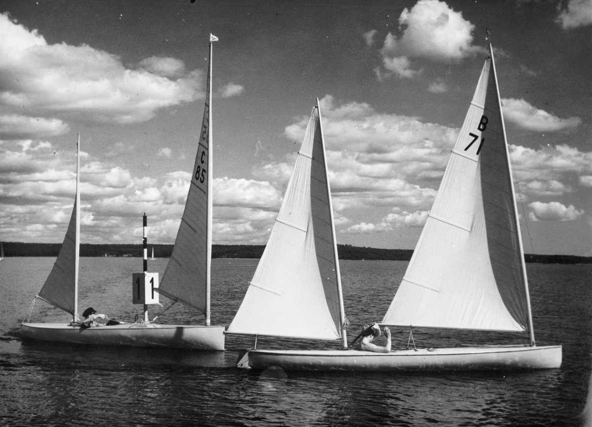 Segelkanoter under SM i kanotsegling i juli 1944.