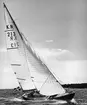 Från Bogskärsseglingen i juli 1953. Havskappsegling Sandhamn-Bogskären-Gotska Sandön.