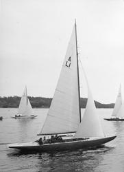 Särklass A-båten LISS-GUN V under KSSS poängseglingar hösten