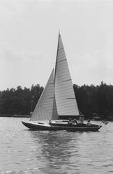 Ruffsländan FIFTY-FIFTY