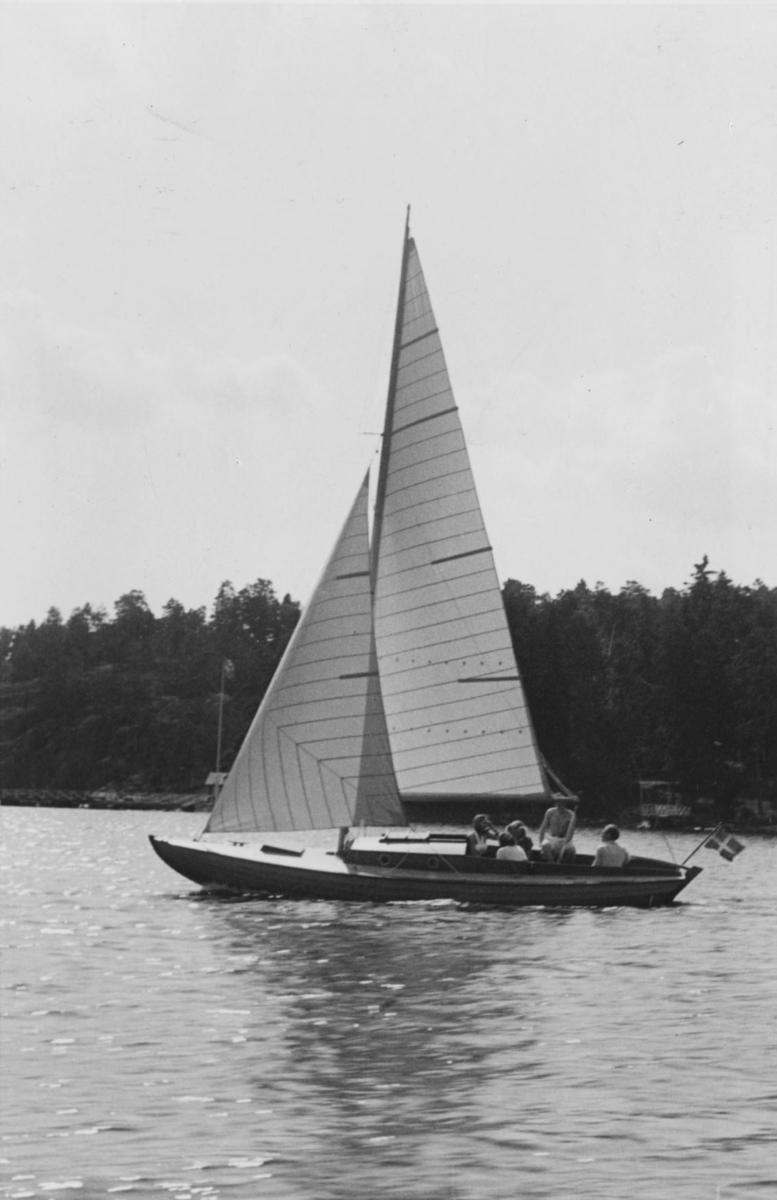 Ruffsländan FIFTY-FIFTY