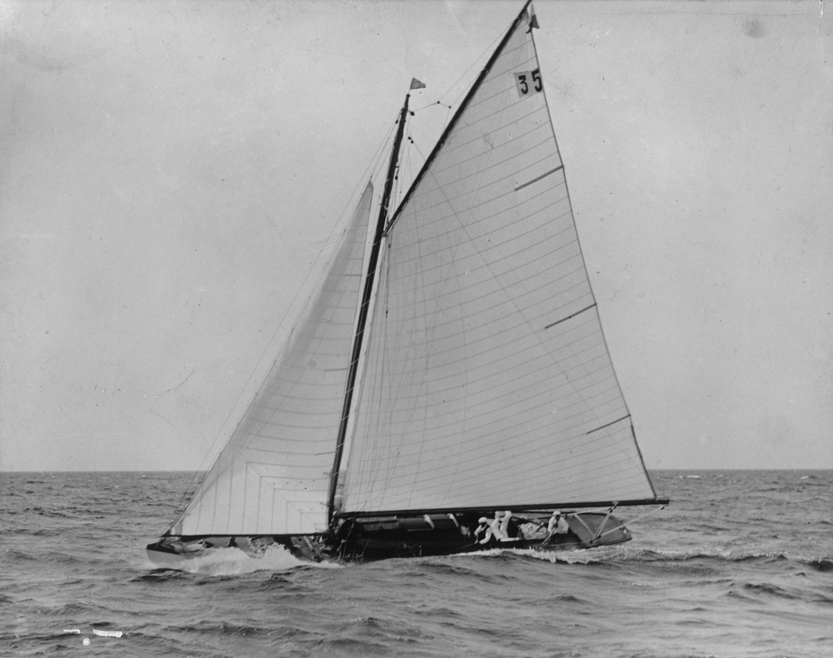Fo134559