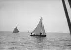 Bild från Norrköping-Sandhamns-regattan 1906.