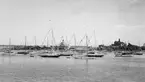 Från Nyländska Jaktklubbens jubileumsregatta i juli 1936.