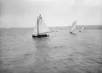 Från KSSS volontärkappsegling på Bogesundsbanan 20 augusti 1916. Närmast med segelnummer 8 plymsnäckan IVERNA. På avstånd längst t h med segelnummer 11 ses 16 kvm snäckan KAMRATEN. IVERNAs och KAMRATENs identitet framgår av andra fotografier från seglingen i KSSS årsbok 1917 s 172 f. Båten närmast efter IVERNA har inte kunnat identifieras.