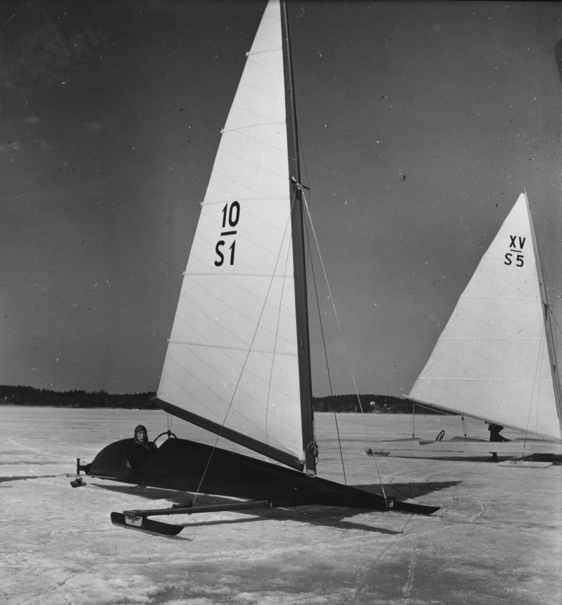 Fo157559