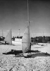 Oscar Plyms XV-isjakt O. P. (med fyra medar). I bakgrunden S