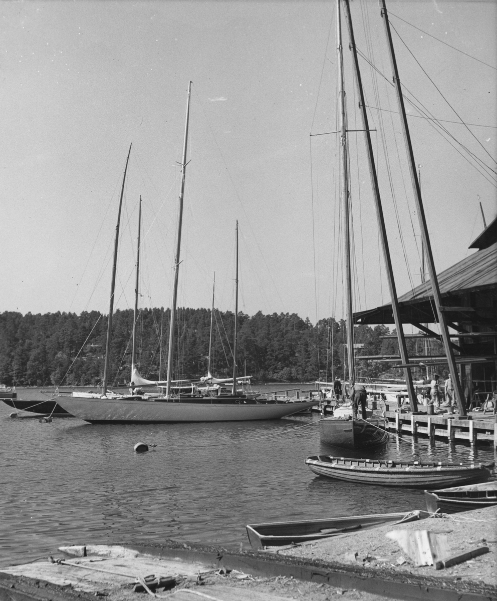 Fo157733