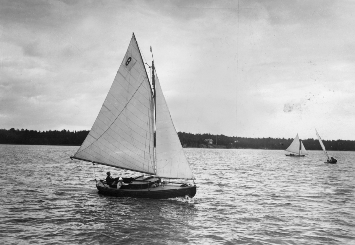 Plymsnäcka