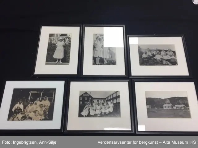 Seks rektangulære rammer med glass. Rundt hvert bilde er det et hvitt paspartoute. Midt på rammens overside er det skrudd fast et rundt oppheng. 
Bilde A: En sykepleier i uniform.
Bilde  B: To sykepleiere i uniform.
Bilde C: En gruppe mennesker som ligger i gress.
Bilde D: En gruppe damer og barn som sitter i gress.
Bilde E: En gruppe ansatte utenfor bygningen.
Bilde F: Oversiktsbilde av Jansnes.