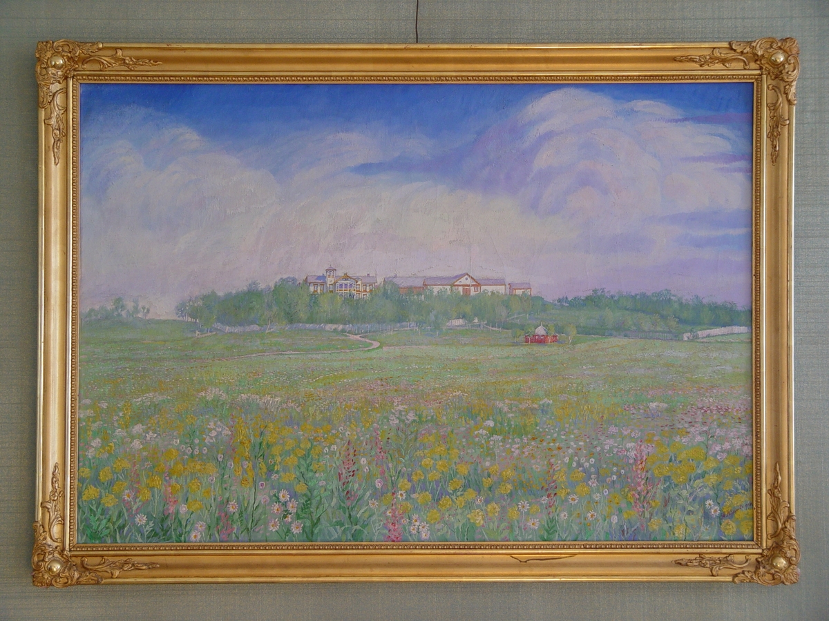 Forestiller Ringve Gård, sett fra Ladesletta. Blomstereng i forgrunnen.