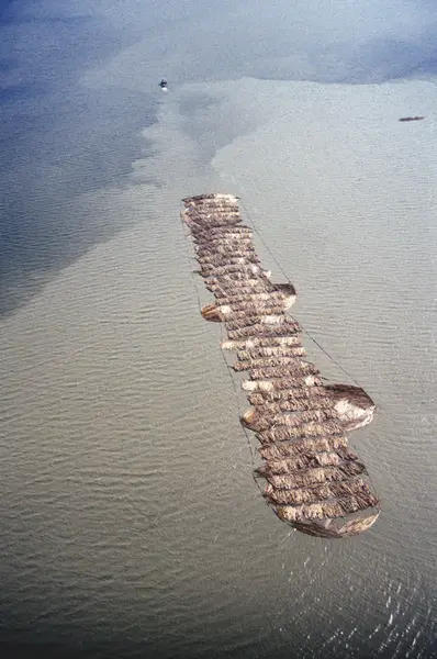 Flyfoto av båt med tømmerslep.