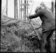 Fornlämning - Markvård. Kårebyhögen  Bolstad