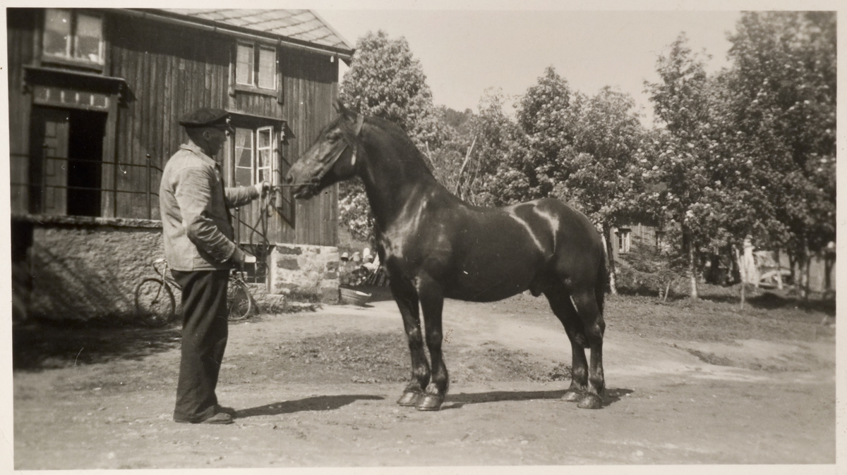 Peder Johansen med hest. Hus i bakgrunnen.